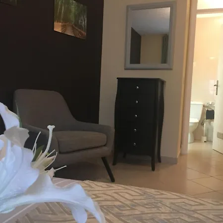 Dream Comfy Apartment
